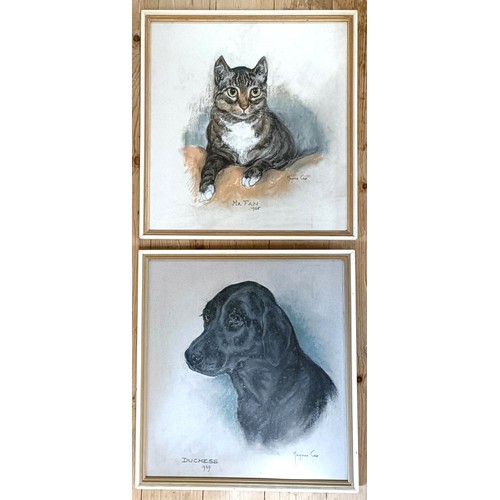 659 - Marjorie Cox, Mister Fan, signed, pastel, 40 x 37 cm, and another, Duchess, 40 x 36 cm (2)