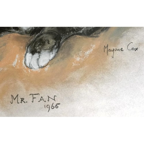 659 - Marjorie Cox, Mister Fan, signed, pastel, 40 x 37 cm, and another, Duchess, 40 x 36 cm (2)