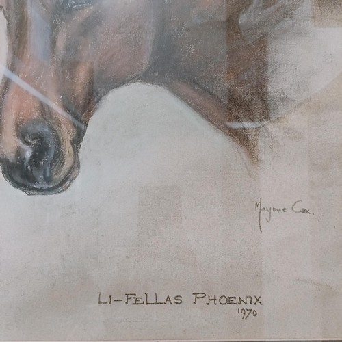 608 - Marjorie Cox, Li Fellas Phoenix, pastel, signed, 53 x 43 cm