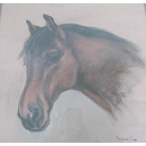 608 - Marjorie Cox, Li Fellas Phoenix, pastel, signed, 53 x 43 cm