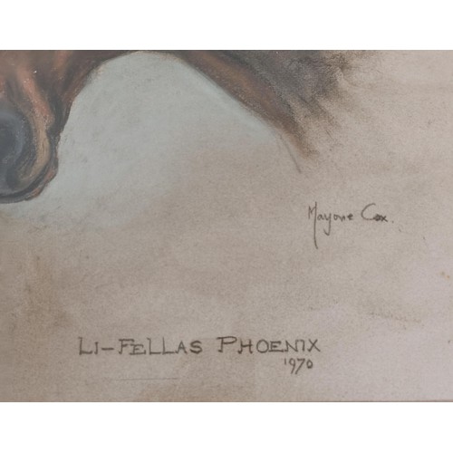 608 - Marjorie Cox, Li Fellas Phoenix, pastel, signed, 53 x 43 cm