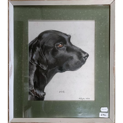 670 - Halcyon Weir, pet portrait, Joe and Tinker, 37 x 31 cm (2)