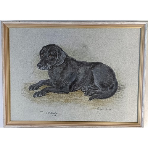 675 - Marjorie Cox, pet portrait of a dog, Ettrick, pastel, signed and dated 1978, 30 x 40 cm, P D Clayes,... 