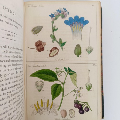 775 - Lindley (John), Ladies Botany, Or A Familiar Introduction To The Study Of The Natural System Of Bota... 