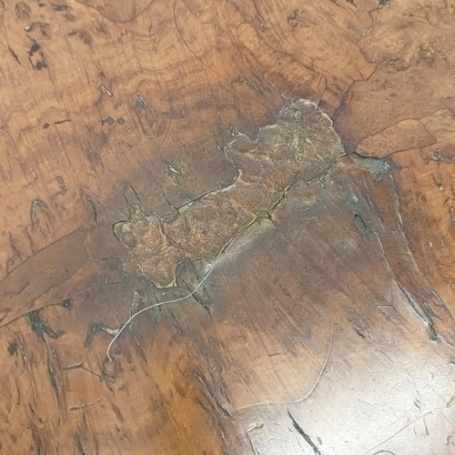 1067 - A 19th century burr elm drop leaf table, 122 cm wide