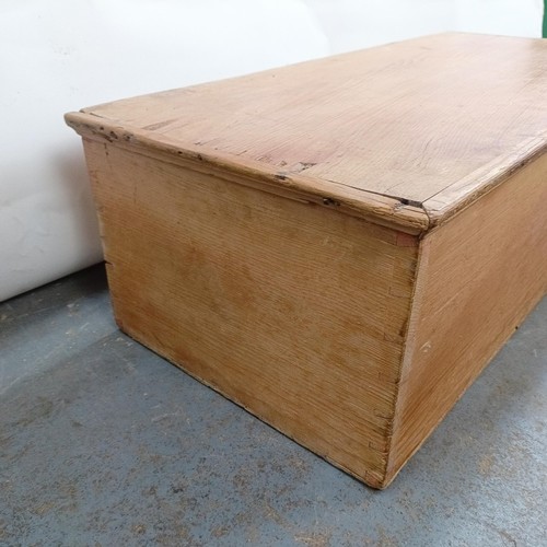 5 - A pine trunk, 67 cm wide