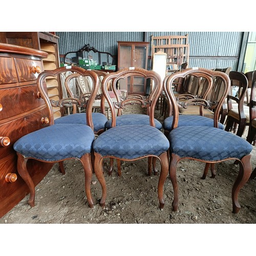 98 - A set of six Victorian walnut dining chairs, with carved central rails, padded seats and cabriole le... 