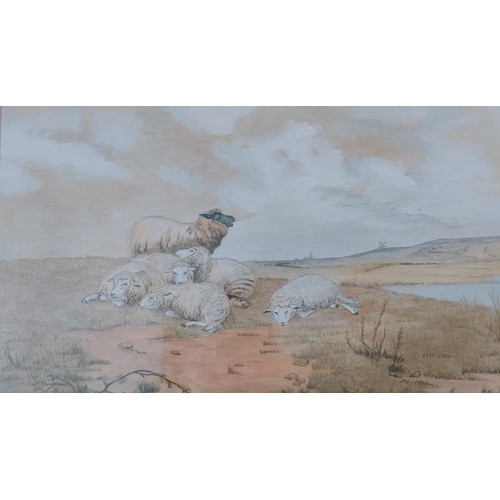 1217 - Early 20th century, English school, landscape with sheep, watercolour, 21 x 35 cm