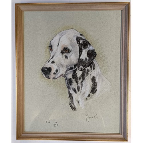 1219 - Marjorie Cox, pet portrait, Suzie, pastel, signed and dated 1993, 43 x 33 cm pet portrait, Talla, pa... 