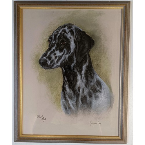 1219 - Marjorie Cox, pet portrait, Suzie, pastel, signed and dated 1993, 43 x 33 cm pet portrait, Talla, pa... 