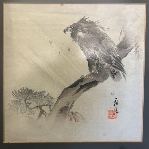 903 - A Chinese print of an eagle, 22 x 23 cm