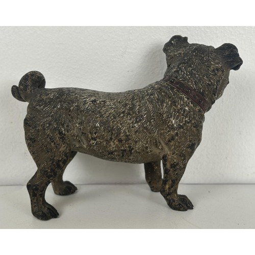 1234 - A late 19th/early 20th century Austrian cold painted bronze Pug, 8.5 cm high