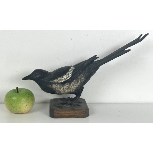 1235 - A large late 19th/early 20th century Austrian cold painted bronze Magpie, 34 cm wide, on a later sta... 