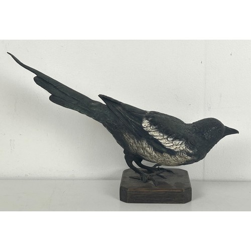 1235 - A large late 19th/early 20th century Austrian cold painted bronze Magpie, 34 cm wide, on a later sta... 