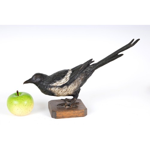 1235 - A large late 19th/early 20th century Austrian cold painted bronze Magpie, 34 cm wide, on a later sta... 