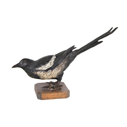 1235 - A large late 19th/early 20th century Austrian cold painted bronze Magpie, 34 cm wide, on a later sta... 