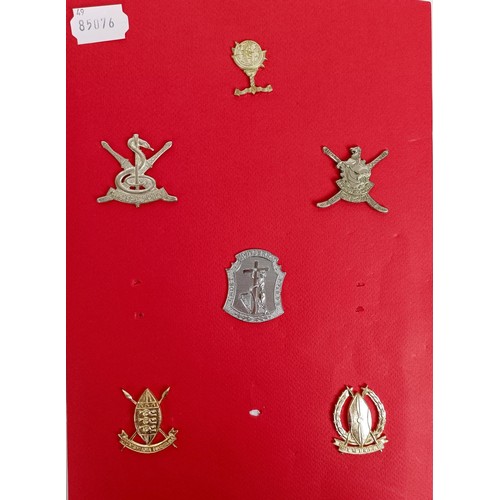 429 - A group of assorted military badges, including RAVC, AVC, RAMC, and others Provenance: A Collection ... 