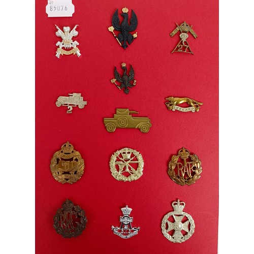 429 - A group of assorted military badges, including RAVC, AVC, RAMC, and others Provenance: A Collection ... 