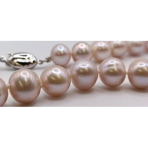 1604 - A cultured pearl necklace