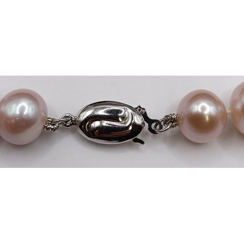 1604 - A cultured pearl necklace