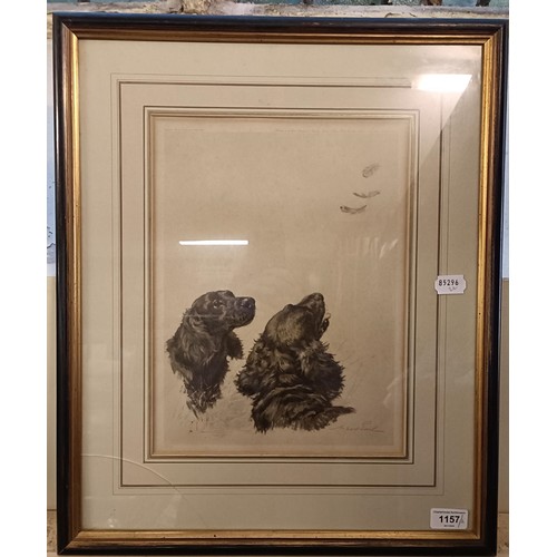 1157 - A Maud Earl print, of two spaniels, and another by the same (2)