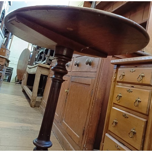 1313 - A Victorian oval walnut tripod table, 59 cm wide