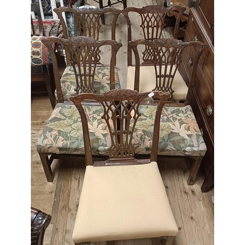 1288 - A set of five mahogany Chippendale style dining chairs (5)