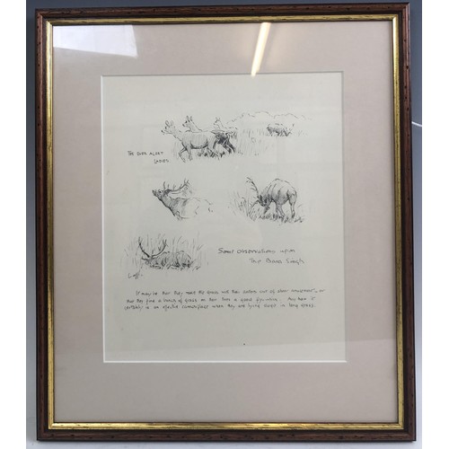 239 - Robert Hills, deer, etching, signed and dated 1912, 18 x 33 cm, Some Observations of The Bara Singh,... 