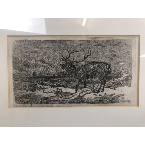 239 - Robert Hills, deer, etching, signed and dated 1912, 18 x 33 cm, Some Observations of The Bara Singh,... 