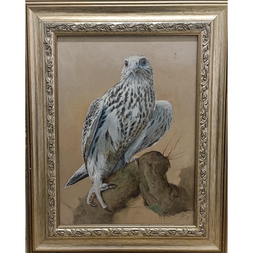 265 - 20th century, English school, bird of prey, oil on board, initialed AT and dated '07, 39 x 28 cm