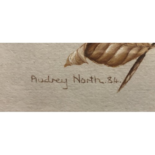 217 - Audrey North, Long Tailed Tits, watercolour, signed and dated '84, 35 x 24.5 cm