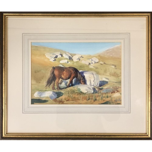 245 - Donald Wood, study of a pony, watercolour, signed, 19 x 27 cm, Tony Rowden, landscape with ponies, w... 