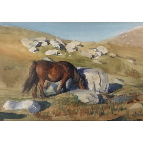 245 - Donald Wood, study of a pony, watercolour, signed, 19 x 27 cm, Tony Rowden, landscape with ponies, w... 