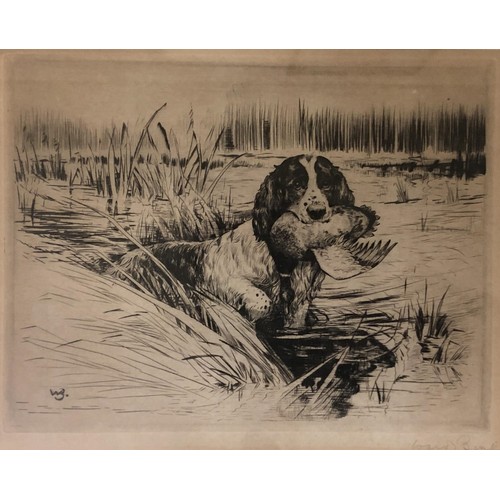 246 - Ruben Ward Binks, a spaniel and puppies, dry point etching, 12 x 14 cm, spaniel with a duck in its m... 