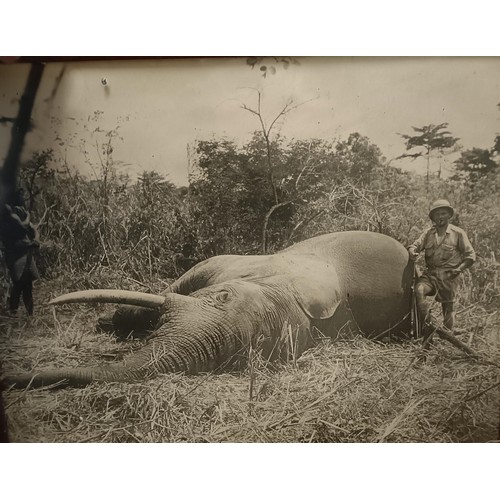 360 - A set of six big game hunting photographs, 50 cm x 40 cm (6)