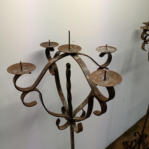 635 - A pair of wrought iron standard pricket candle stands, 164 cm high