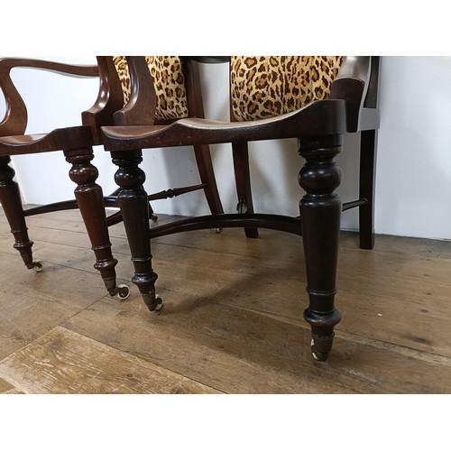 710 - A pair of 19th century mahogany desk chairs, with shaped seats and turned legs united by stretchers ... 