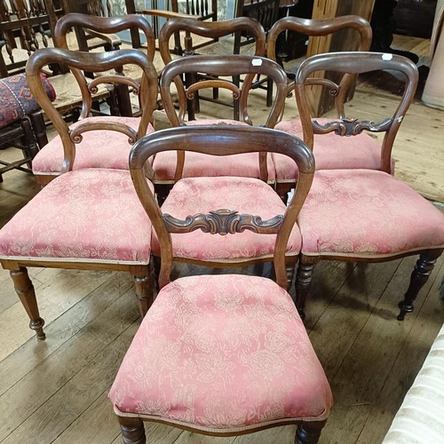 736 - A set of seven rosewood balloon back dining chairs with padded seats (7)