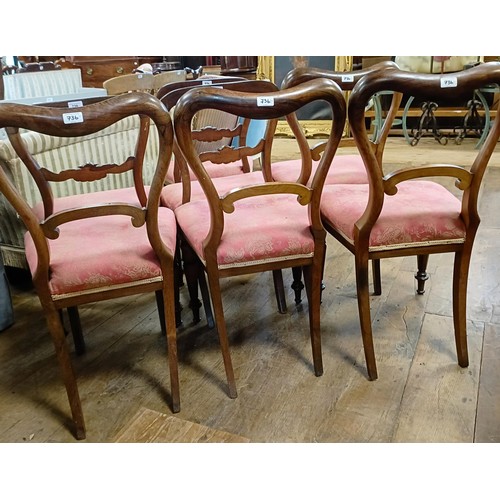 736 - A set of seven rosewood balloon back dining chairs with padded seats (7)