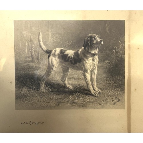 1141 - After Rosa Bonheur, a terrier, print, 28 x 23 cm, and another similar, English school, 20th century,... 