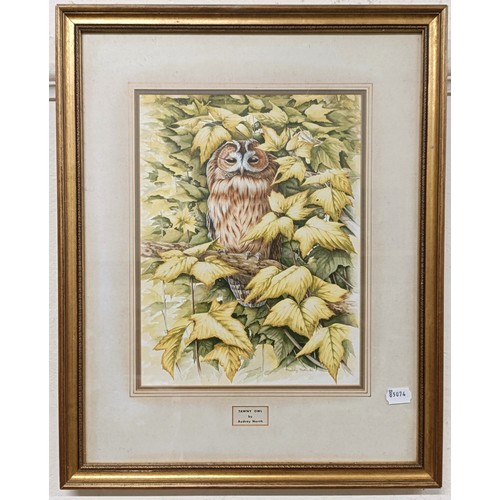 1162 - Audrey North, a Little Owl, gouache, signed, dated '88, 34 x 26 cm, and four others by the same, Ott... 