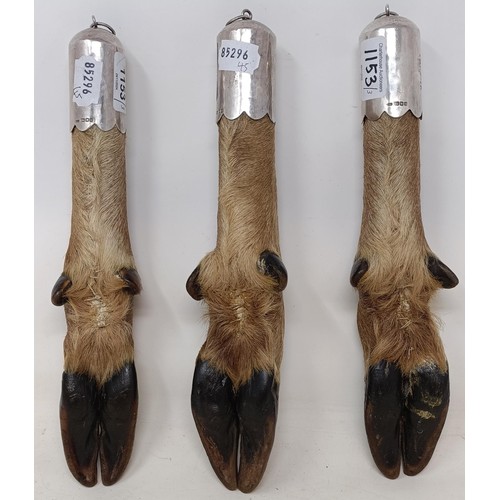 6 - A deer foot, with a silver mount, with a presentation inscription dated (19) 95, 32 cm, and two othe... 