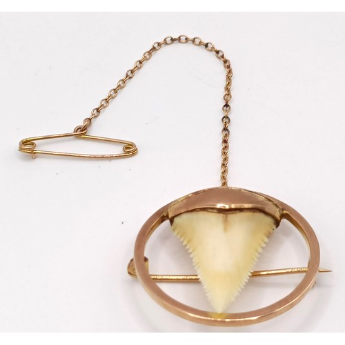 750 - A 9ct gold and shark's tooth brooch, in a vintage jewellery box