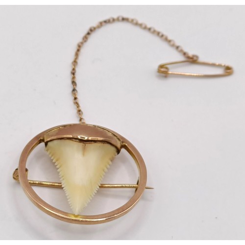 750 - A 9ct gold and shark's tooth brooch, in a vintage jewellery box