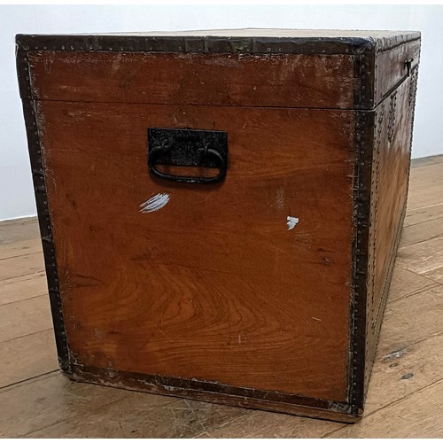 1241 - A 19th century camphorwood and brass bound trunk, 100 cm wide