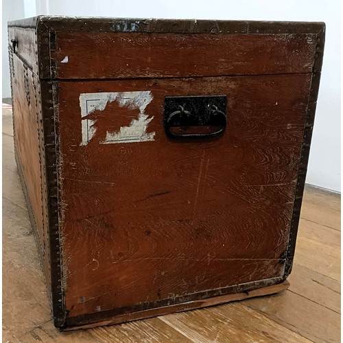 1241 - A 19th century camphorwood and brass bound trunk, 100 cm wide