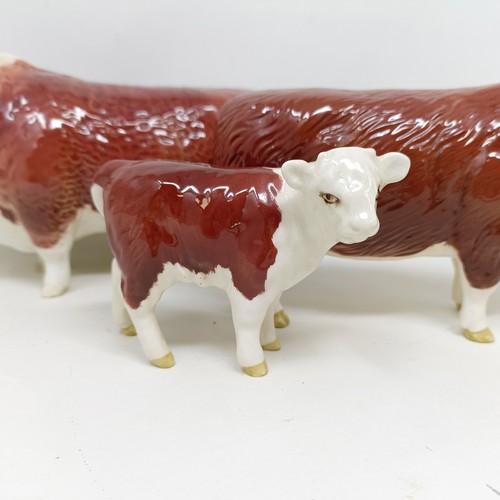 1003 - A Beswick Hereford Bull, 1363A, a Hereford Cow, 1360, and a Hereford Calf, 1827C, all gloss (3)...