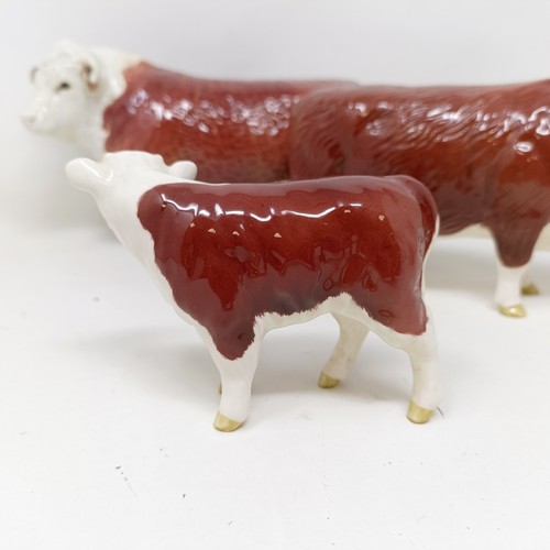 1003 - A Beswick Hereford Bull, 1363A, a Hereford Cow, 1360, and a Hereford Calf, 1827C, all gloss (3)...