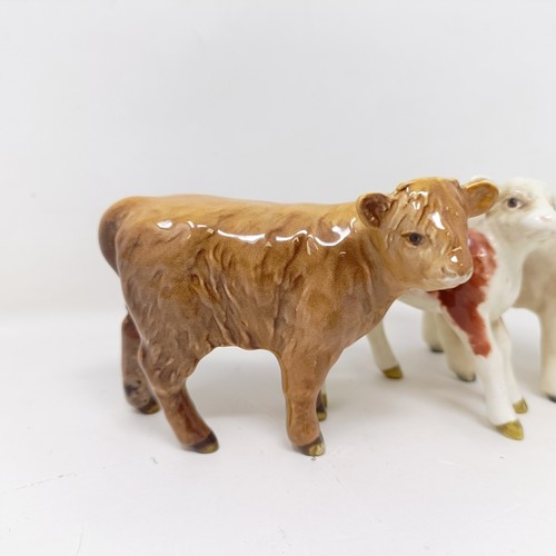 1005 - A Beswick Hereford Calf, 1406B, a Charolais Calf, 1827B, and a Highland Calf, 1827D, all gloss (3)