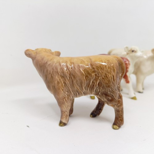 1005 - A Beswick Hereford Calf, 1406B, a Charolais Calf, 1827B, and a Highland Calf, 1827D, all gloss (3)